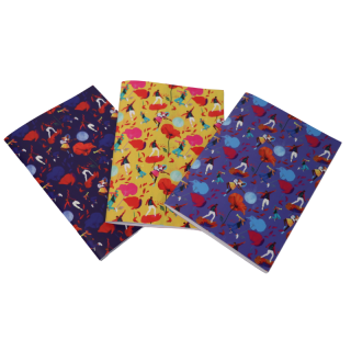 Lot de 3 carnets
