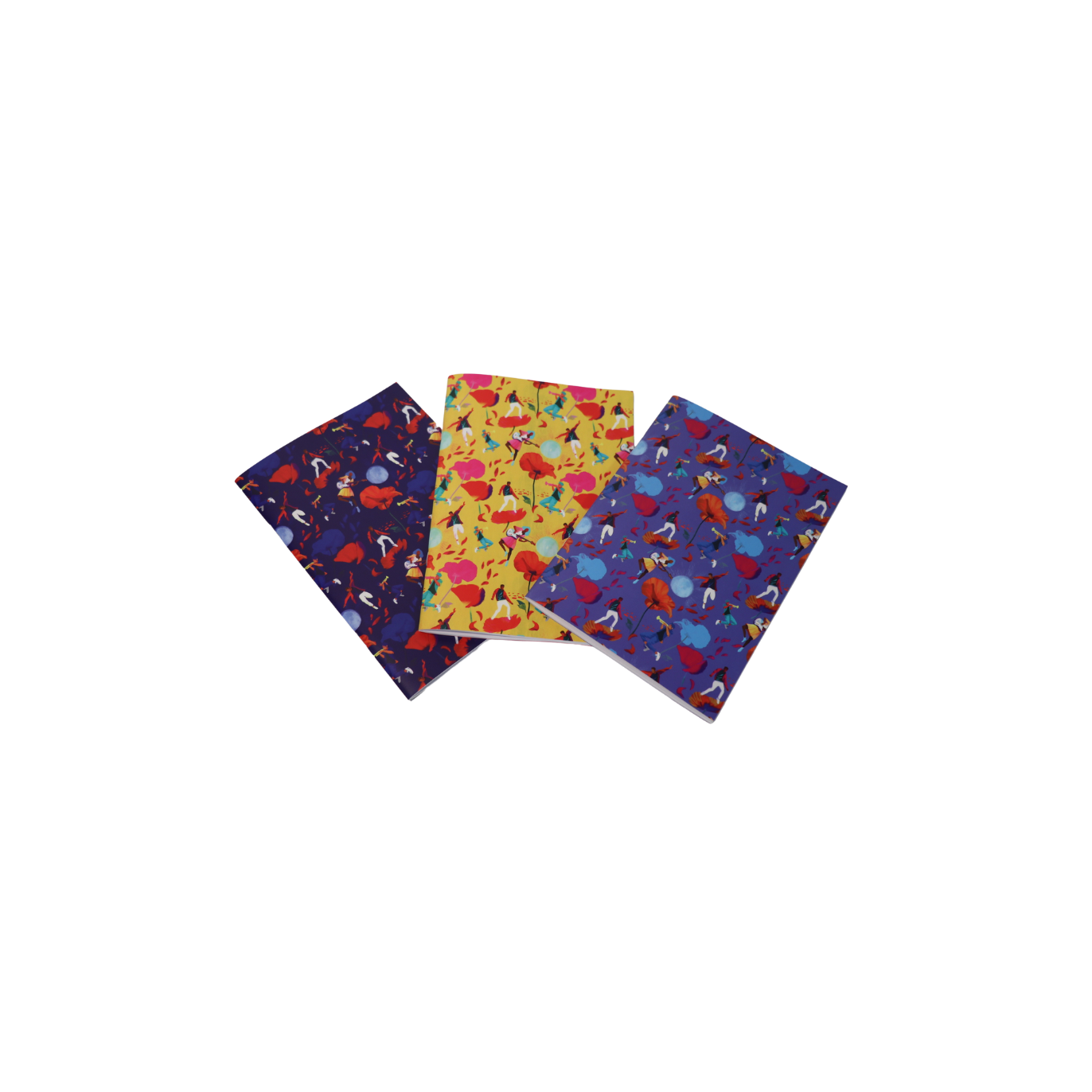 Lot de 3 carnets
