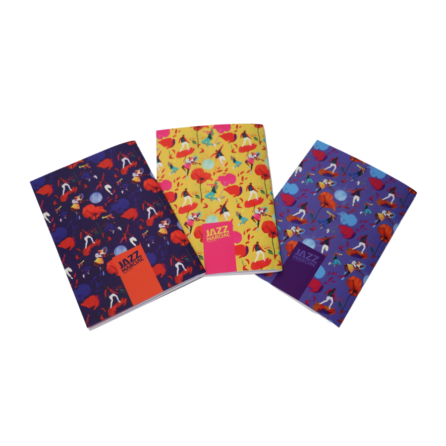 Lot de 3 carnets