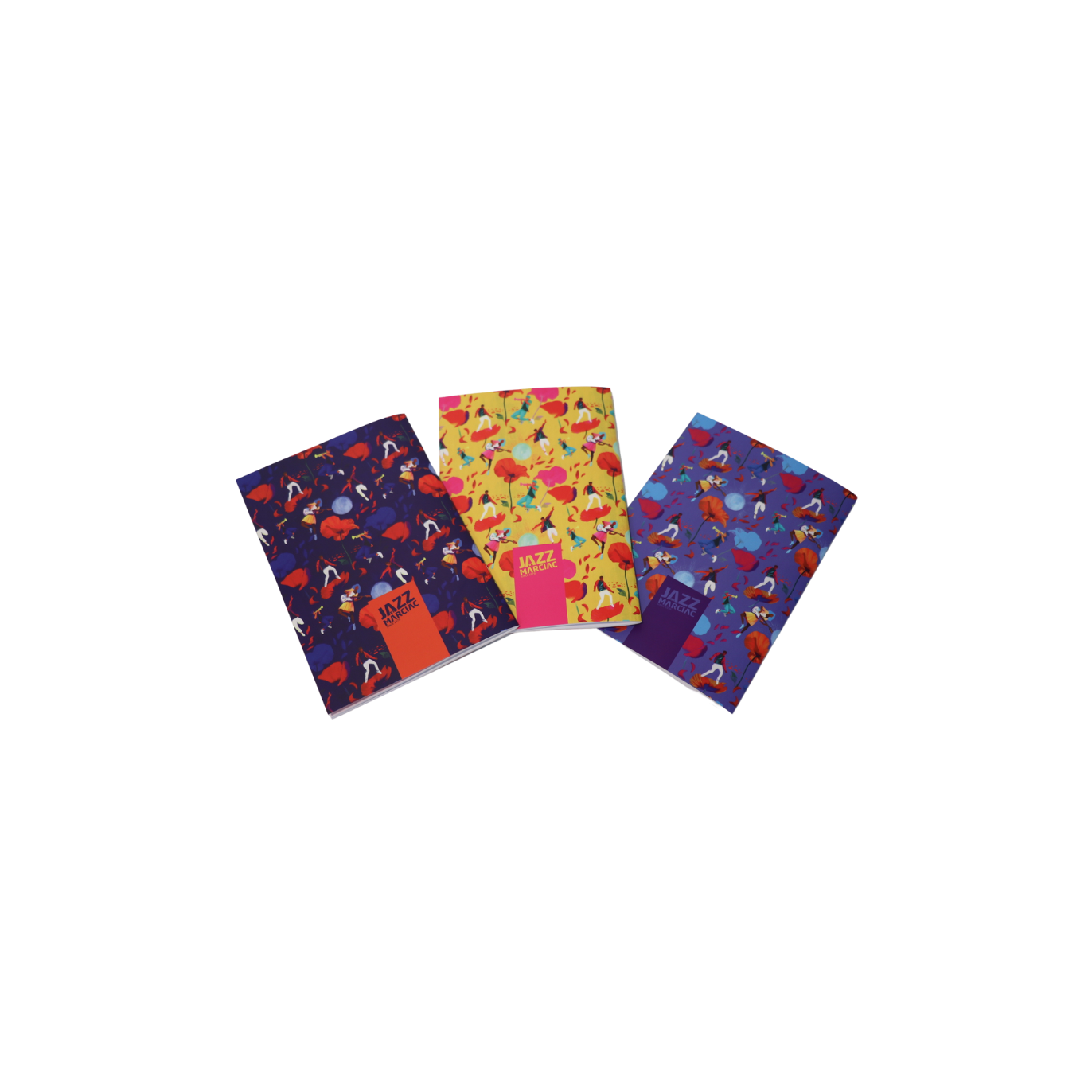 Lot de 3 carnets