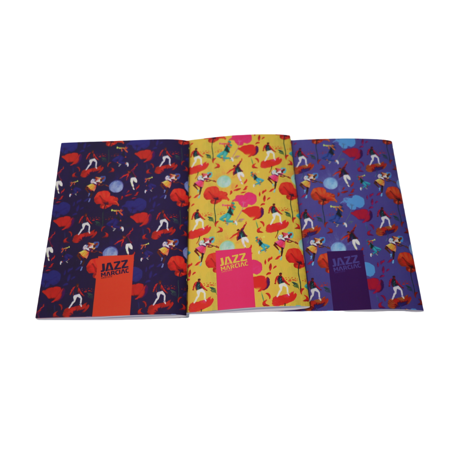 Lot de 3 carnets