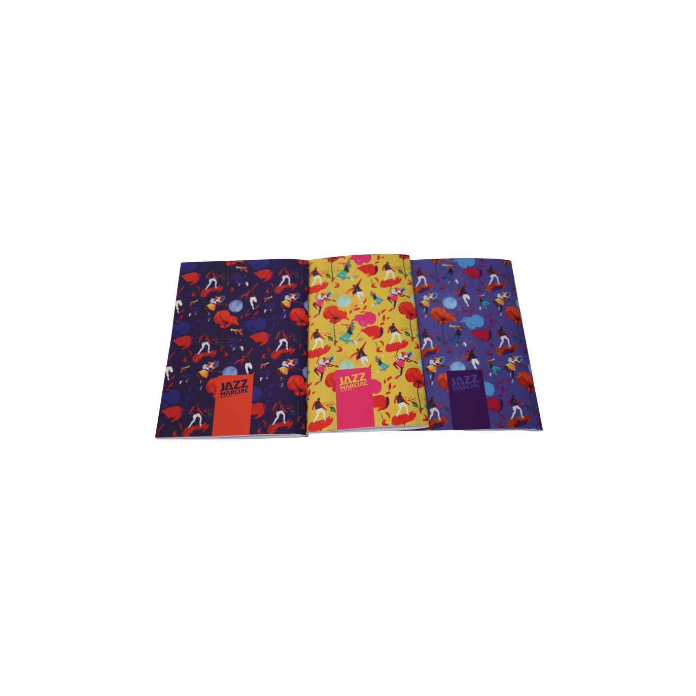 Lot de 3 carnets