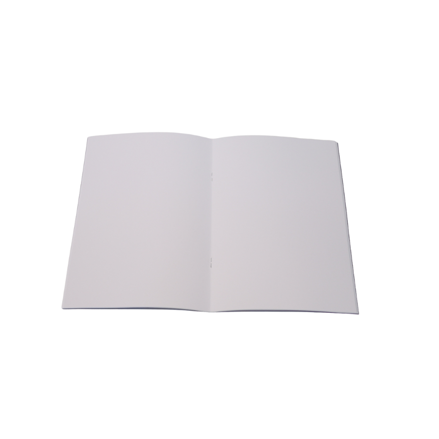 Lot de 3 carnets