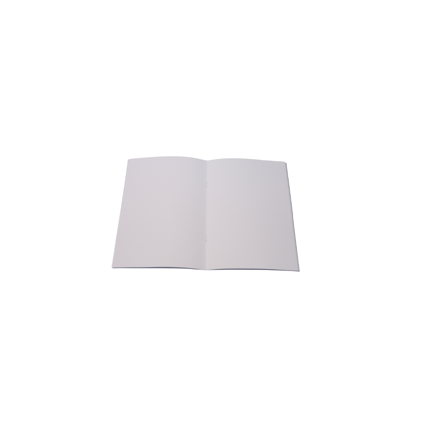 Lot de 3 carnets