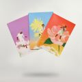 Lot de 3 carnets 2026